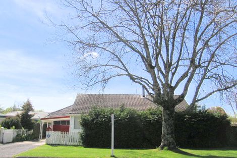 Photo of property in 22 Larch Street, Victoria, Rotorua, 3010