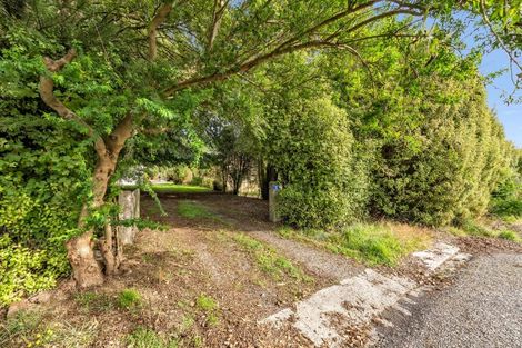 Photo of property in 13 Edievale Road, Edievale, Tapanui, 9587