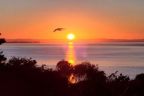 Photo of property in 34 Kauri Point Road, Laingholm, Auckland, 0604