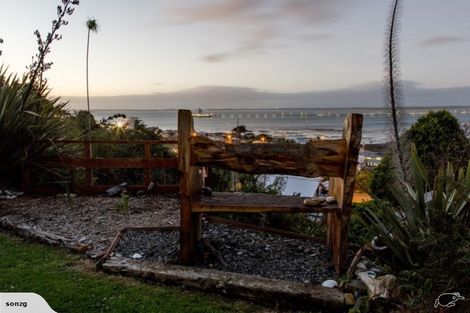 Photo of property in 51 Walker Street, Bluff, 9814