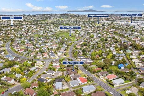 Photo of property in 20 Trias Road, Totara Vale, Auckland, 0629