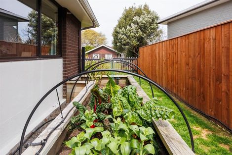 Photo of property in 20 Dunsinane Place, Marton, 4710