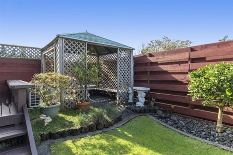 Photo of property in 79b Thirteenth Avenue, Tauranga South, Tauranga, 3112