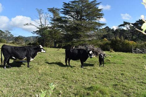 Photo of property in 6 Coulter Road, Swanson, Auckland, 0614