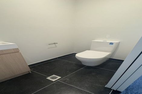 Photo of property in 10 Monstedt Terrace, Windsor Park, Auckland, 0632