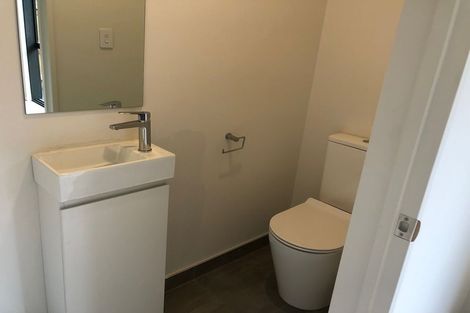 Photo of property in 12 Hearth Street, Flat Bush, Auckland, 2019