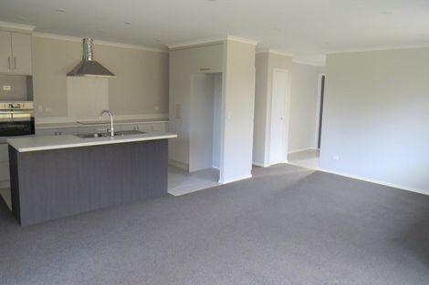 Photo of property in 245 Dixon Road, Fitzroy, Hamilton, 3206