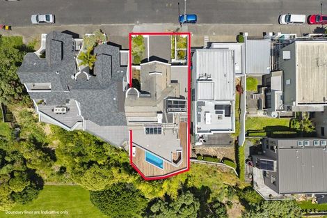 Photo of property in 19 Ring Terrace, Saint Marys Bay, Auckland, 1011