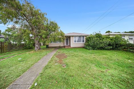 Photo of property in 18 Mcdivitt Street, Manurewa, Auckland, 2102