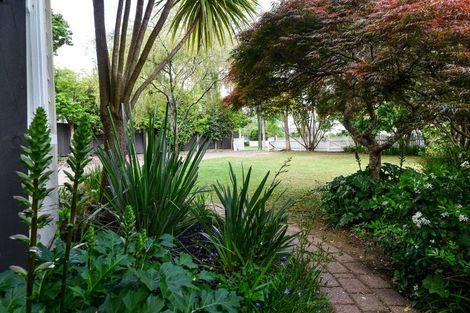 Photo of property in 115 Albert Street, Hamilton East, Hamilton, 3216