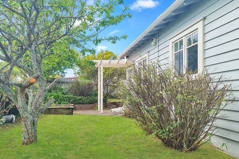 Photo of property in 28b Fruitvale Road, New Lynn, Auckland, 0600