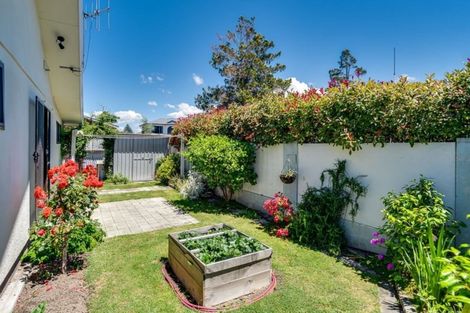 Photo of property in 415a Gloucester Street, Taradale, Napier, 4112