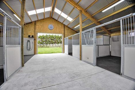 Photo of property in 17 Lower Duthie Road, Kapuni, Hawera, 4675