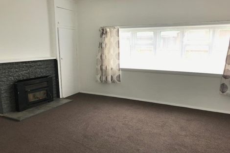 Photo of property in 161 Aldwins Road, Phillipstown, Christchurch, 8062