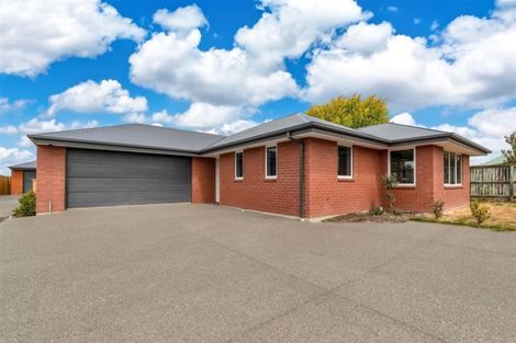 Photo of property in 1d Clifford Place, Amberley, 7410