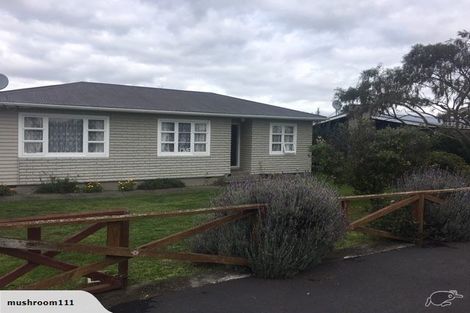 Photo of property in 22 Lemon Street, Otaki, 5512