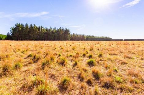 Photo of property in 143 Karanga Road, Dunsandel, Leeston, 7682