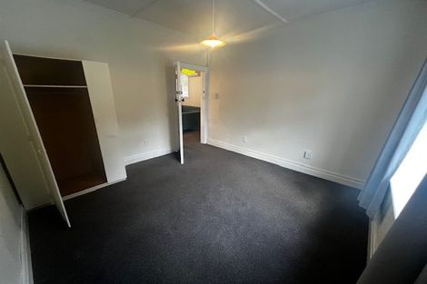 Photo of property in 217 Aro Street, Aro Valley, Wellington, 6021