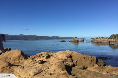 Photo of property in 163 Marine Parade, Seatoun, Wellington, 6022