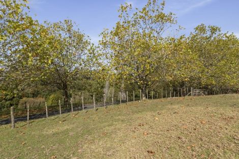 Photo of property in 115 Glenmore Road, Coatesville, Albany, 0793