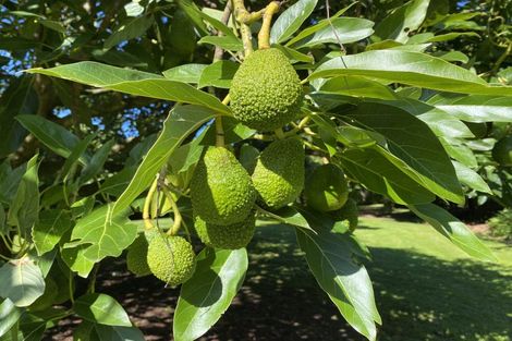 Photo of property in 356 Belk Road, Omanawa, Tauranga, 3171