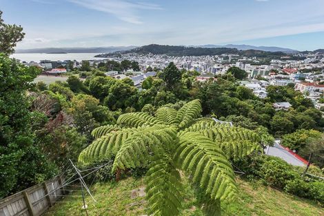 Photo of property in 5/60 Fairlie Terrace, Kelburn, Wellington, 6021