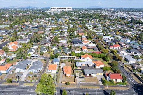 Photo of property in 103 Forest Lake Road, Forest Lake, Hamilton, 3200