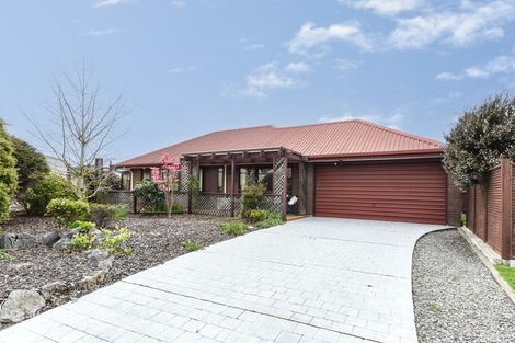 Photo of property in 6 Helena Way, The Wood, Nelson, 7010
