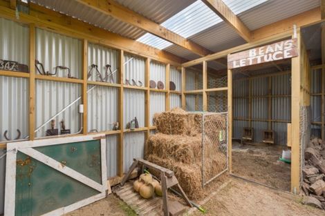 Photo of property in 422 Piako Road, Gordonton, Hamilton, 3281