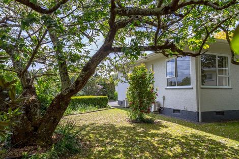 Photo of property in 26 Costley Street, Carterton, 5713