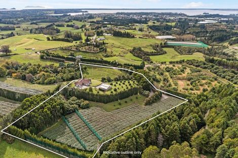 Photo of property in 237a Busby Road, Tahawai, Katikati, 3170