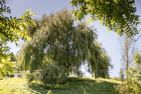 Photo of property in 86a Te Puna Quarry Road, Minden, Tauranga, 3179