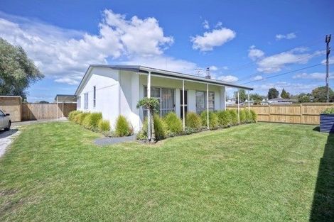 Photo of property in 20 Belvedere Street, Te Puke, 3119