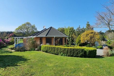 Photo of property in 223 Heatherlea East Road, Levin, 5571