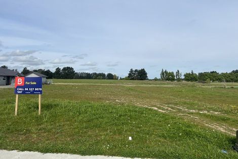 Photo of property in 30 Campbell Place, Marton, 4710