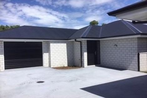 Photo of property in 46c Sixteenth Avenue, Tauranga South, Tauranga, 3112