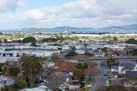Photo of property in 45 Pharazyn Street, Melling, Lower Hutt, 5010