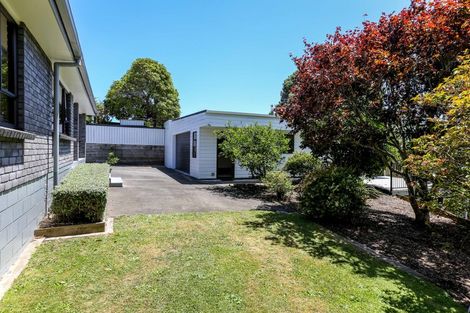 Photo of property in 259a Huatoki Street, Upper Vogeltown, New Plymouth, 4310