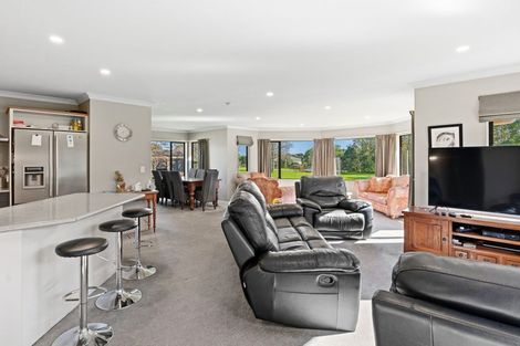 Photo of property in 14 Pukematawai Lane, Levin, 5571