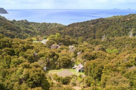 Photo of property in 125b Sailors Grave Road, Pumpkin Hill, Whitianga, 3591