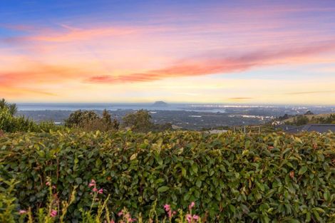 Photo of property in 665c Minden Road, Minden, Tauranga, 3176