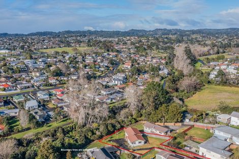 Photo of property in 46 Chislehurst Street, Henderson, Auckland, 0612