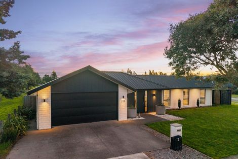 Photo of property in 238 Taylor Pass Road, Witherlea, Blenheim, 7201