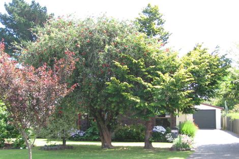 Photo of property in 14 Buchanan Street, Mangapapa, Gisborne, 4010