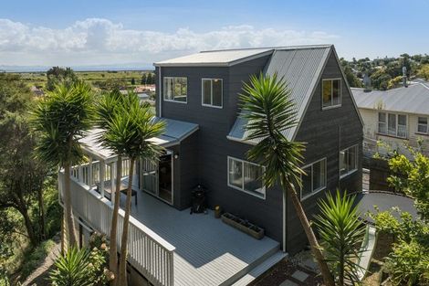 Photo of property in 114 Abingdon Place, Thames, 3500