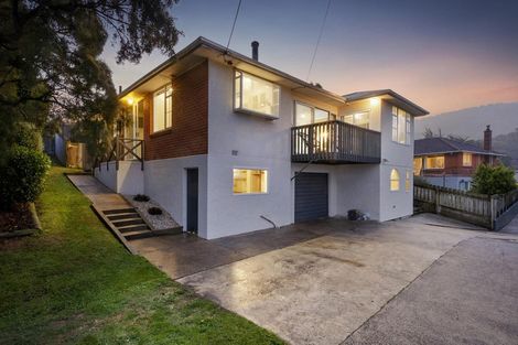 Photo of property in 102 Wakari Road, Helensburgh, Dunedin, 9010