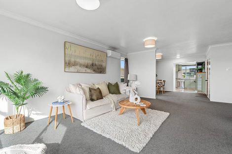 Photo of property in 14 Vine Avenue, Maungatapu, Tauranga, 3112