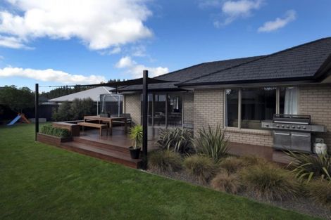 Photo of property in 219 Taylor Pass Road, Witherlea, Blenheim, 7201