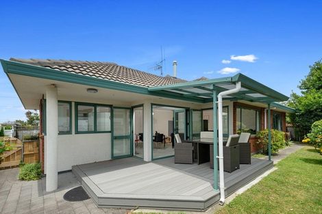Photo of property in 209a Maungatapu Road, Maungatapu, Tauranga, 3112