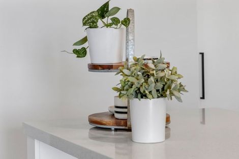 Photo of property in 320 Pokuru Road, Pokuru, Te Awamutu, 3875